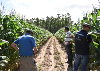 Investimentos beneficiam produtores rurais em Nova Hartz