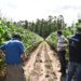 Investimentos beneficiam produtores rurais em Nova Hartz
