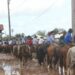Prefeitura cancela rodeio e festa de aniversário de Campo Bom