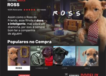 CCZ de Sapiranga lança programa Dogflix de adoção aos animais