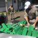 Brigada Militar registra queda de até 50% em indicadores criminais na região