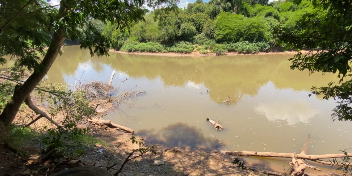 Redução do nível do Rio dos Sinos requer uso racional da água, alerta Consórcio Pró-Sinos