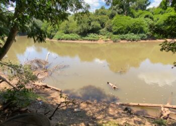 Redução do nível do Rio dos Sinos requer uso racional da água, alerta Consórcio Pró-Sinos