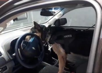 Polícia Civil de Sapiranga atuando forte no início do ano