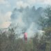 Bombeiros combatem incêndio de vegetação em Araricá