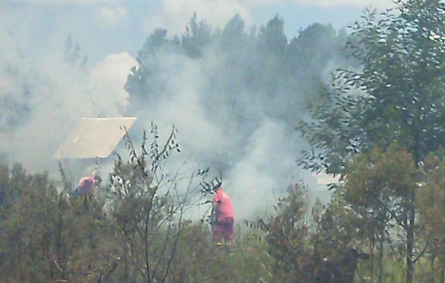 Bombeiros combatem incêndio de vegetação em Araricá