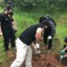 Final trágico: Delegacias de Sapiranga e Parobé encontram ossada de jovem desaparecida