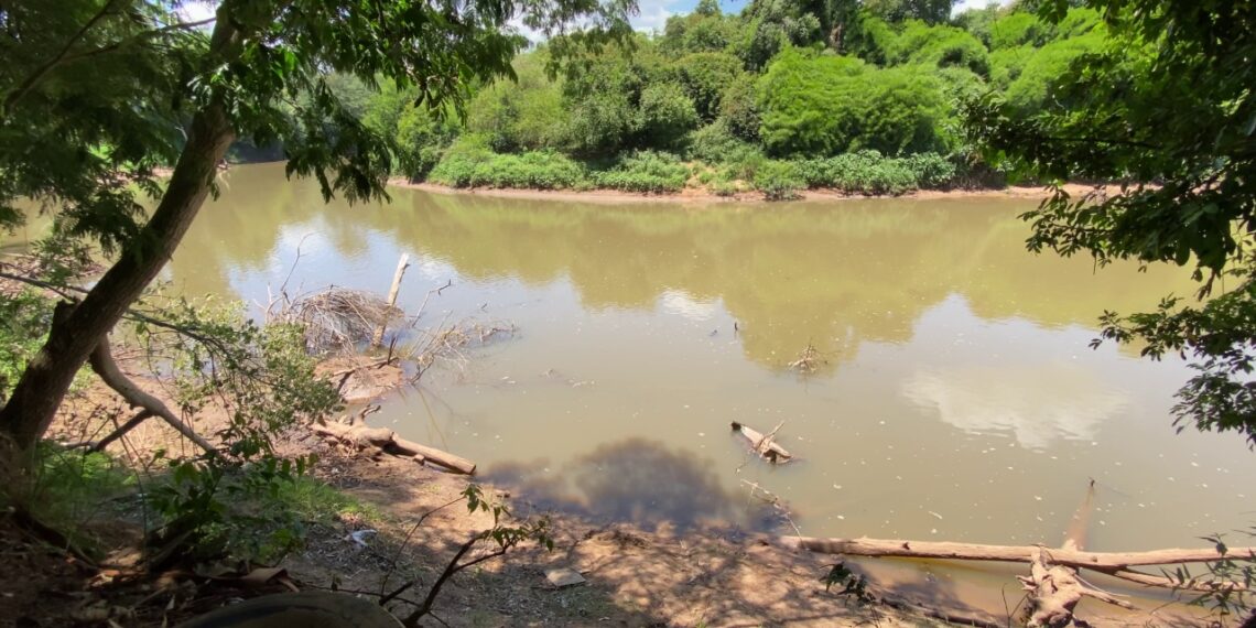 Nível do Rio dos Sinos aumenta e Consórcio Pró-Sinos tranquiliza população