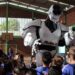 Cerca de 10 mil alunos da rede municipal de Campo Bom voltaram às aulas