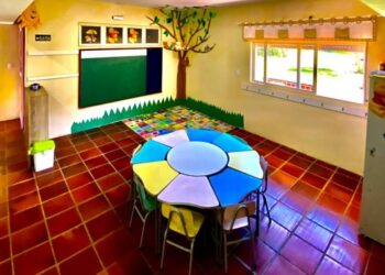 Guia Volta às Aulas: Cia dos Ursinhos