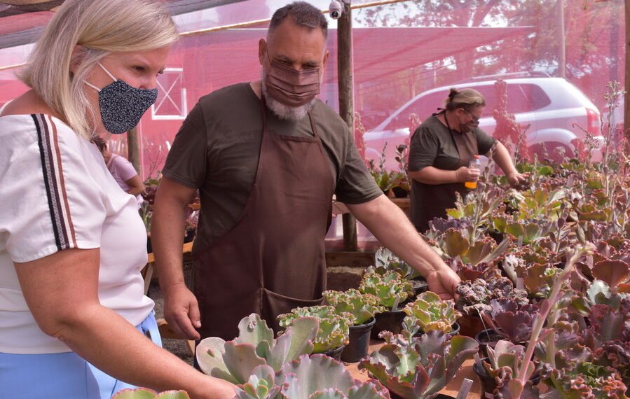 Prefeita de Sapiranga, Carina Nath visita a 1ª fazenda de suculentas aberta ao público da região