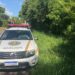 Homicídio doloso em Campo Bom