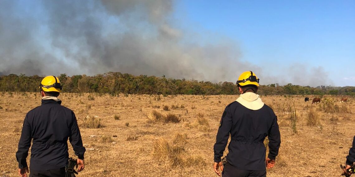 Bombeiros militares de Sapiranga e Campo Bom auxiliam no combate a um incêndio florestal de grandes proporções na Argentina