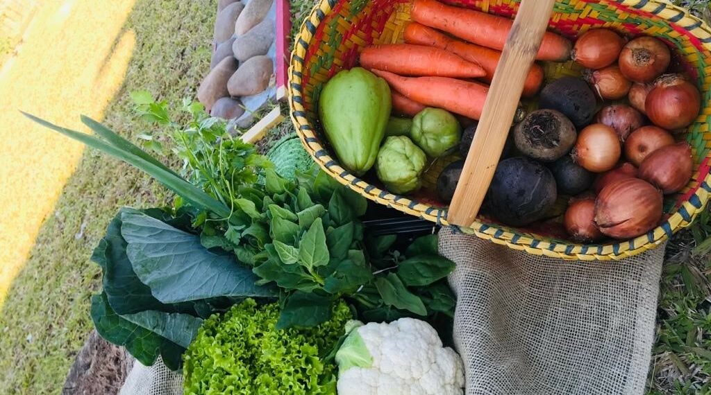 Prefeitura de Sapiranga anuncia a contratação do fornecimento de alimentos para merenda escolar