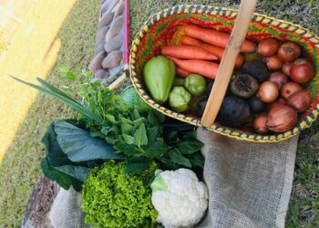 Prefeitura de Sapiranga anuncia a contratação do fornecimento de alimentos para merenda escolar