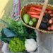 Prefeitura de Sapiranga anuncia a contratação do fornecimento de alimentos para merenda escolar