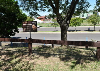 Tocas de corujas no Parque do Imigrante recebem placas de respeito em Sapiranga