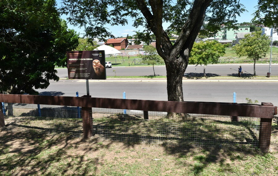 Tocas de corujas no Parque do Imigrante recebem placas de respeito em Sapiranga