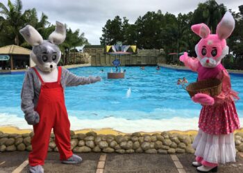 Acqua Lokos: Programação cultural para encantar e inspirar