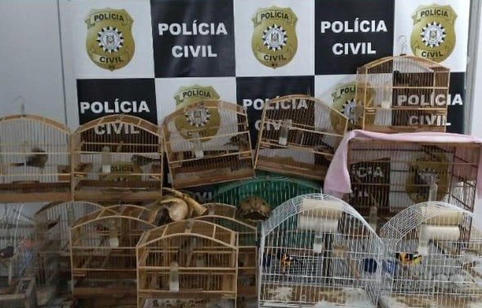 Foto: Divulgação Polícia Civil