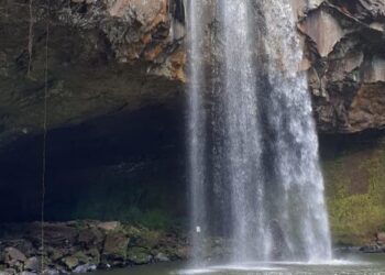 Reserva Ecológica de Sapiranga foi alvo de vândalos no dia 20