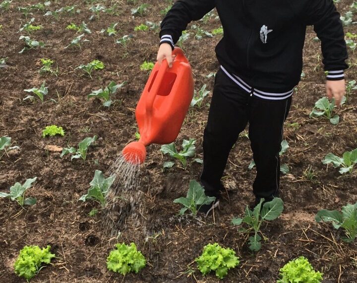Da Feira de Ciências a Prêmio Estadual: projeto de Campo Bom recebe destaque
