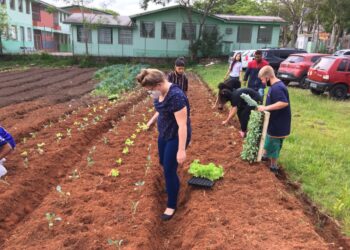 Da Feira de Ciências a Prêmio Estadual: projeto de Campo Bom recebe destaque