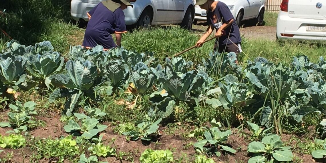 Da Feira de Ciências a Prêmio Estadual: projeto de Campo Bom recebe destaque