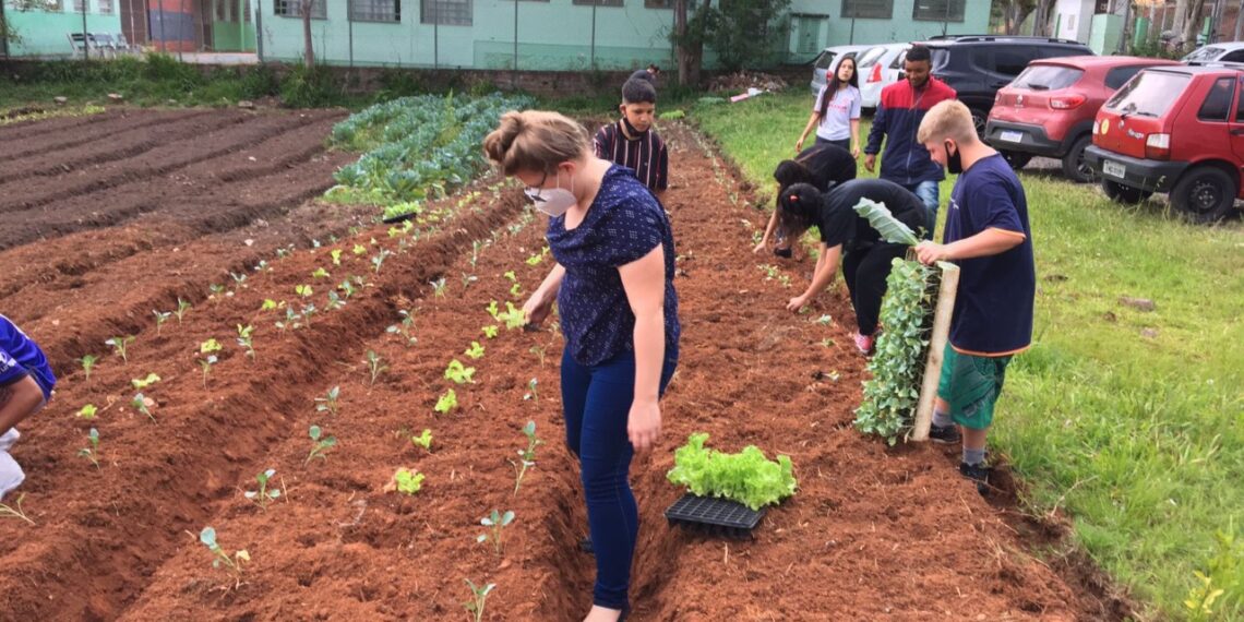 Da Feira de Ciências a Prêmio Estadual: projeto de Campo Bom recebe destaque
