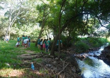 Monitoramento do Rio dos Sinos e visitas a arroios marcam a Semana das Águas de Campo Bom
