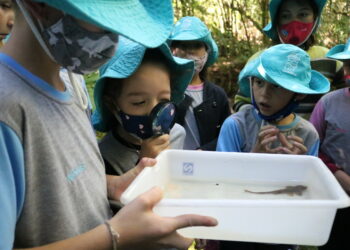 Alunos da rede municipal de Sapiranga participam de atividade de conscientização no Dia Mundial da Água