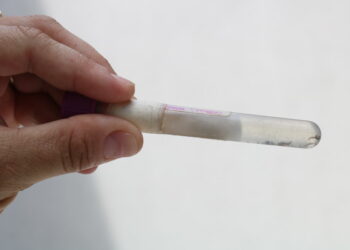 Sapiranga está em alerta contra a dengue
