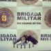 BM efetua prisões durante a operação Hóplitas em Campo Bom