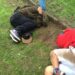 Arrombamentos em Sapiranga são flagrados por câmeras de segurança