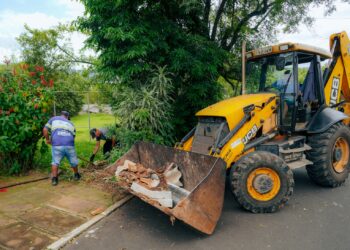 Mutirão de combate à dengue em dois bairros de Campo Bom está marcado para o próximo feriado