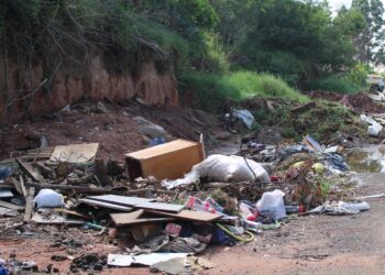 Professores de Campo Bom participam de encontro sobre ecoeducação