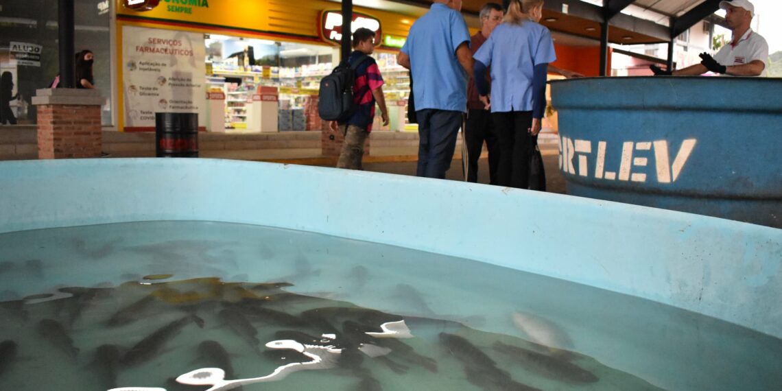 Feira do Peixe acontece em Nova Hartz