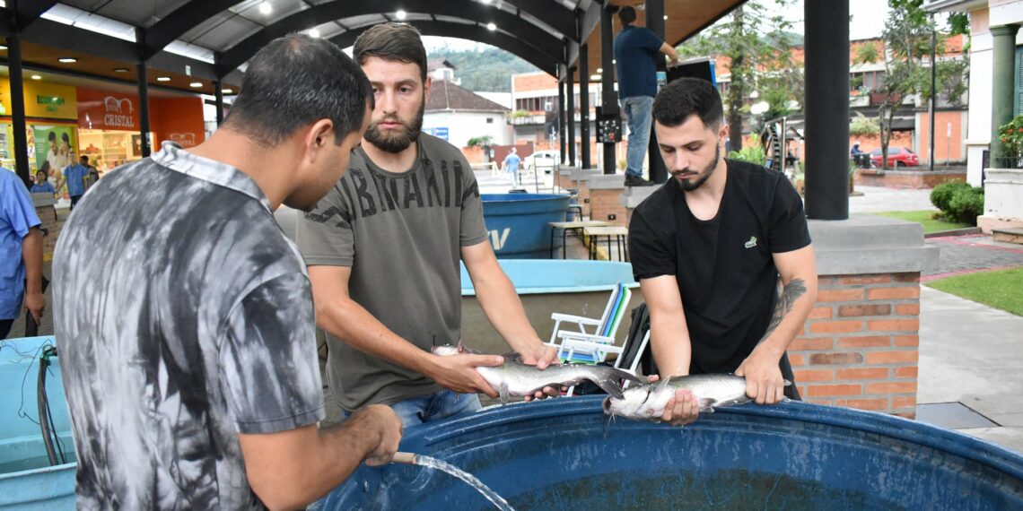 Feira do Peixe acontece em Nova Hartz