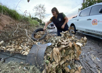 Prefeitura de Sapiranga faz o recolhimento de inservíveis para evitar focos do mosquito da dengue