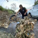 Prefeitura de Sapiranga faz o recolhimento de inservíveis para evitar focos do mosquito da dengue