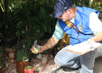 Agentes da Saúde de Sapiranga estão realizando vistoria na cidade para combater à dengue