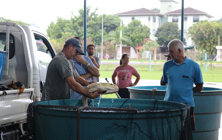 A 14ª Feira do Peixe já começou em Sapiranga