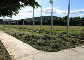 Campo de futebol do Loteamento Mundo Novo passa por reformas em Sapiranga