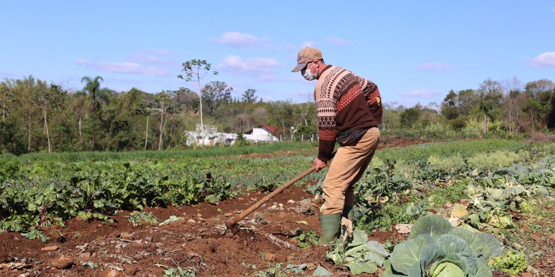Agricultores de Campo Bom podem se inscrever para ter acesso a financiamento pelo Feaper