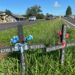 Acidentes com mortes na RS-239 reduzem 70% e multas com radar aumentam 248%