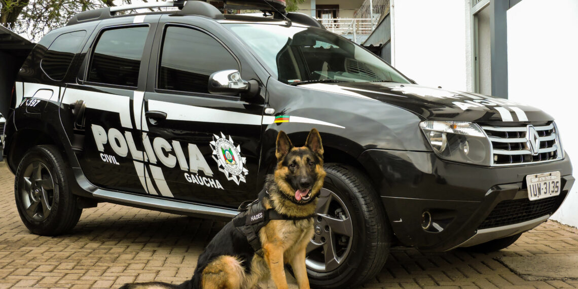 Competição recebe os melhores cães policiais do estado em Sapiranga