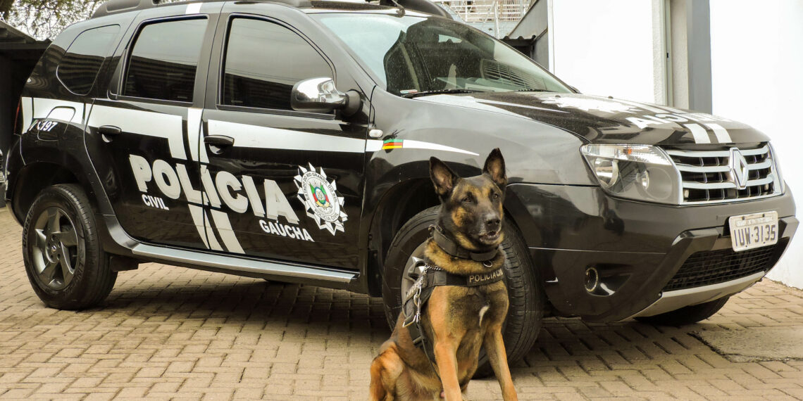 Competição recebe os melhores cães policiais do estado em Sapiranga