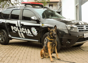 Competição recebe os melhores cães policiais do estado em Sapiranga