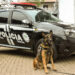 Competição recebe os melhores cães policiais do estado em Sapiranga