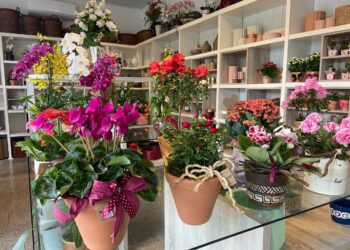 Especial de Dia das Mães: lindas opções na Floricultura Recanto Verde
